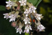 View photo in a new window