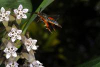 View photo in a new window