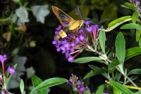 View photo in a new window