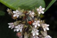 View photo in a new window