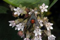 View photo in a new window