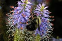 View photo in a new window