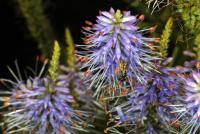 View photo in a new window