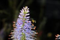 View photo in a new window