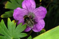 View photo in a new window