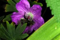 View photo in a new window