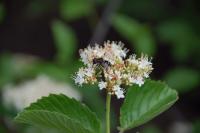 View photo in a new window