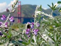 View photo in a new window