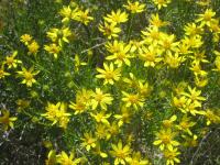 View photo in a new window