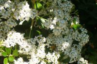 View photo in a new window