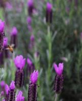 View photo in a new window