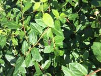 View photo in a new window