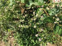 View photo in a new window