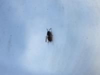 View photo in a new window