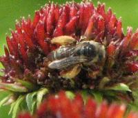 View photo in a new window