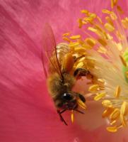 View photo in a new window