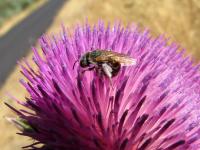 View photo in a new window