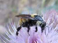 View photo in a new window