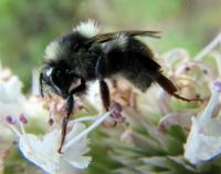 View photo in a new window