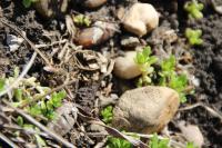 View photo in a new window