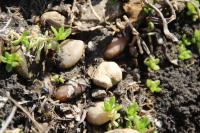 View photo in a new window