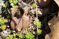 View photo in a new window