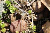 View photo in a new window