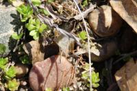 View photo in a new window