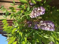 View photo in a new window