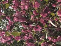 View photo in a new window