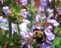 View photo in a new window