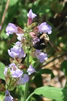 View photo in a new window