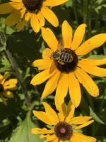 View photo in a new window