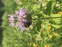 View photo in a new window