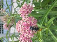 View photo in a new window