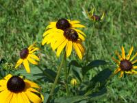 View photo in a new window