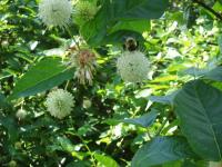 View photo in a new window