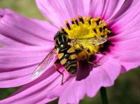 View photo in a new window