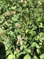 View photo in a new window