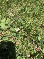 View photo in a new window