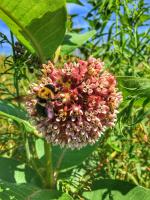 View photo in a new window