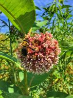 View photo in a new window