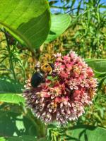 View photo in a new window