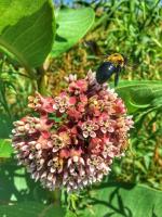 View photo in a new window