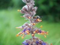 View photo in a new window