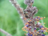 View photo in a new window