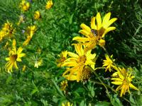 View photo in a new window