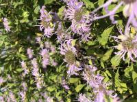 View photo in a new window