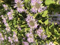 View photo in a new window