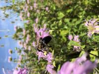 View photo in a new window